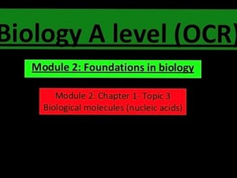 Nucleotides and nucleic acids lesson (A level biology)