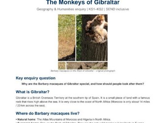 The Monkeys of Gibraltar | Geography & Humanities Enquiry | KS1–KS2 | Original Photos