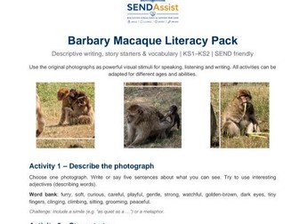 Barbary Macaque Literacy Pack | Descriptive Writing, Story Starters & Poetry | KS1–KS2