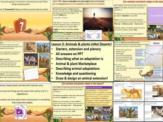 KS3 Geography: Hot Deserts - Animals and plants adapted to the hot desert.