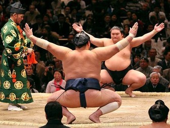 Sumo Wrestling Comprehension