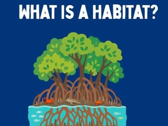 What Is a Habitat? | KS3 Geography