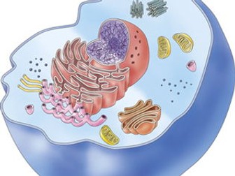 Above and Beyond - Cells