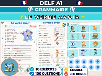 DELF A1 French Grammar Avoir Worksheets & Card Game