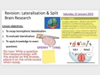 Lateralisation and split brain Revision Lesson