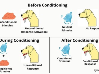 AQA classical conditioning