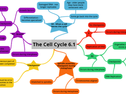 Cell cycle biology homework help Cell cycle biology homework help