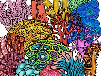 Ocean Creatures Clip Art Free /Coral reef clipart for commercial use