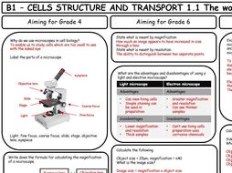 Mark scheme for AQA GCSE 9-1 Biology B1 Revision Sheets (differentiated