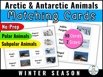 Arctic & Antarctic Polar Animals Matching Cards | Memory Game Winter in December