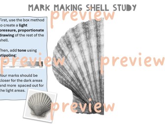 Sea Life - Mark Making Shell Study (symmetrical image)