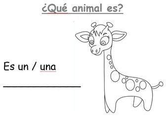 Spanish Animals Colouring book Early Years
