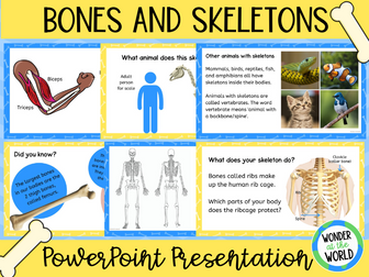 Skeletons and Bones Introduction PowerPoint KS2