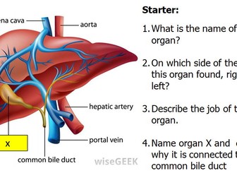 GCSE AQA Science B9 Respiration Powerpoints, exam questions and activities