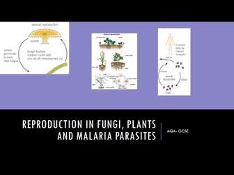 Fungi, plant and malaria parasites reproduction