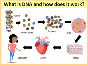 GCSE SCIENCE (BIOLOGY): What is DNA and how does it work?