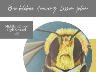 Bumblebee drawing project KS3