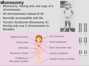 Meiosis - A2 Level Biology - Plus Qs & As