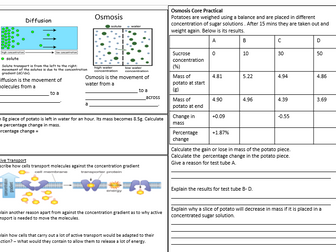 EDEXCEL Combined Science B1- Key Concepts in Biology Revision Mat