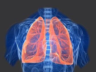 Respiratory System (GCSE)