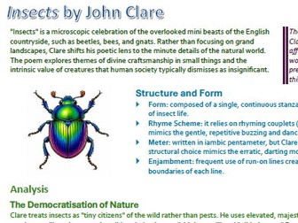"Insects" by John Clare - Concise 1-Page Detailed Summary