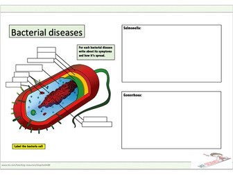 Biology worksheets | Teaching Resources