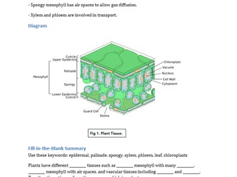 AQA Organisation Revision Booklet