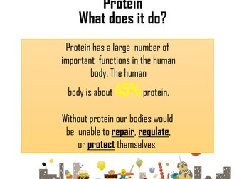 Yea 7 Lesson- Protein