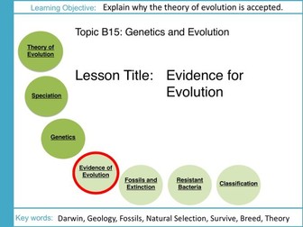 AQA GCSE: B15 Genetics and Evolution: L4 Evidence for Evolution