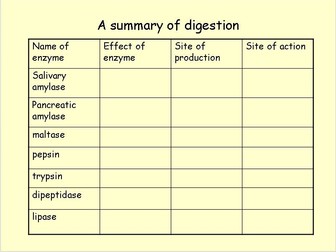 Digestion in humans