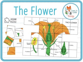 The Flower & Plant Reproduction - 12x Games and activities (KS2/3 ...