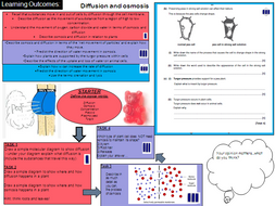 Osmosis and diffusion - learning mat | Teaching Resources