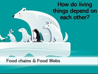 Food Chains and Food Webs PPT