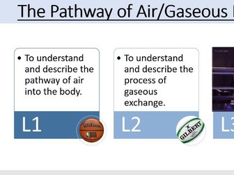 AQA GCSE PE -  Pathway of Air and Gaseous Exchange