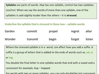 Starter activities for English