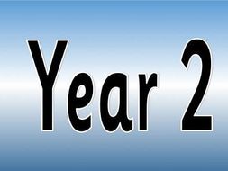 Year 2 Curriculum Overview