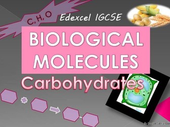 IGCSE Biological molecules ppt
