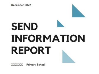 Model SEND inforamtion report