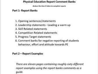 PE Report Banks and Report Examples