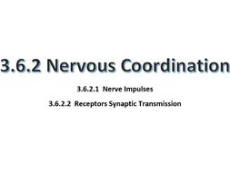 Nervous Coordination