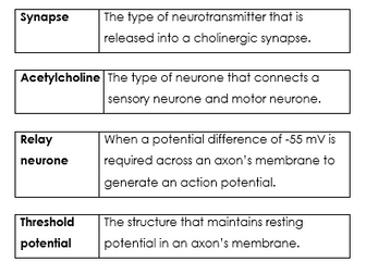Neuronal Communication - Loop Cards