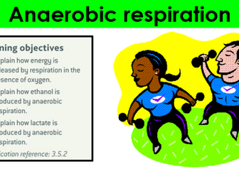 AQA A-level Biology: 12.4 Anaerobic respiration