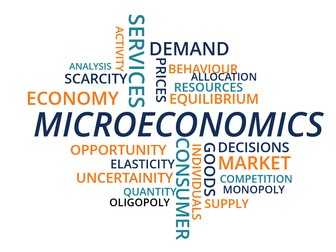 IBDP Economics - Micro Economics