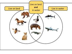 Venn Diagrams - Introduction - Complete Lesson | Teaching Resources