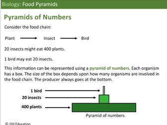 KS3 Biology: Food Pyramids