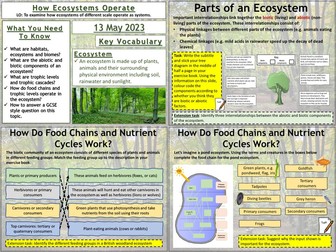 How Ecosystems Operate