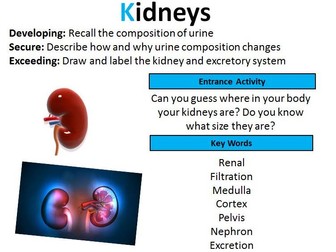 GCSE Biology: The Kidney (lesson 1)