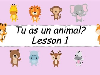 Accès Studio: Unit 8 Tu as un animal?