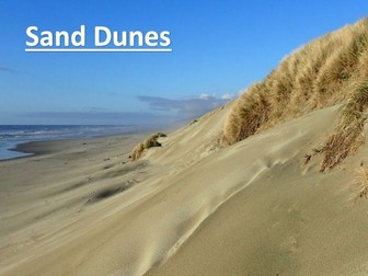 Sand Dunes - Depositional Landforms - A Level Geography