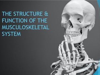 The Musculoskeletal System - AQA GCSE PE